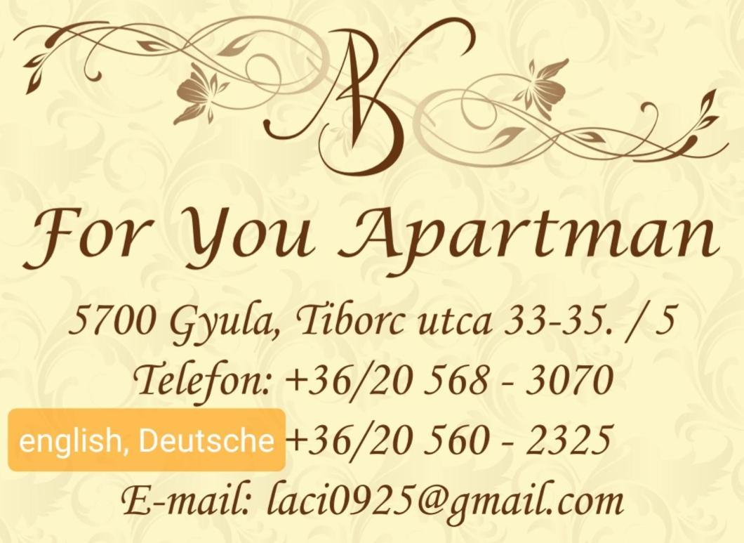 For You Apartman Gyula Ngoại thất bức ảnh