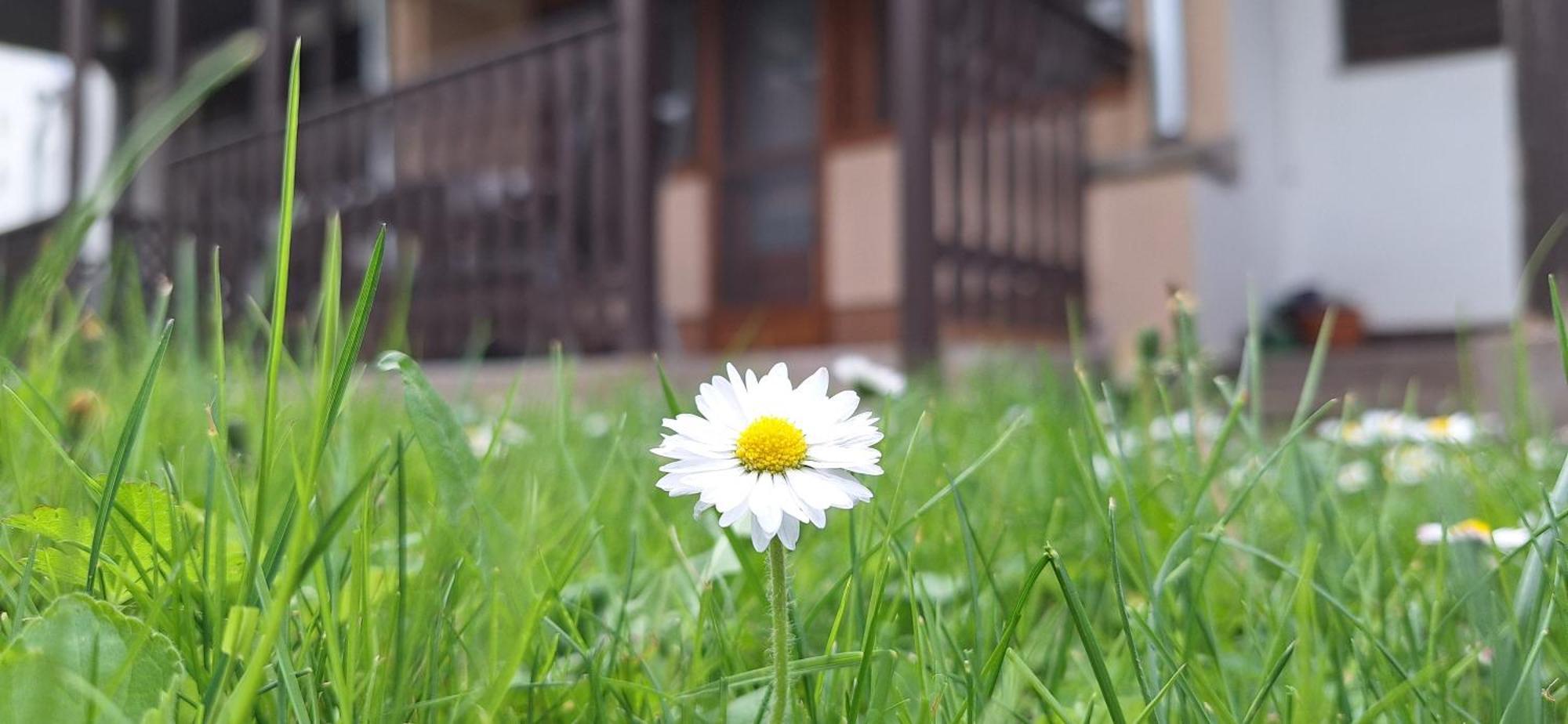 For You Apartman Gyula Ngoại thất bức ảnh